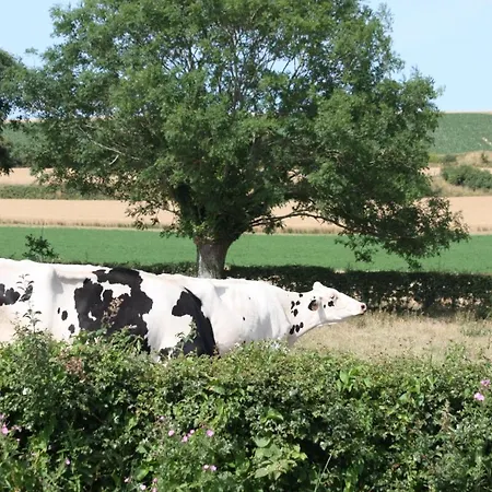 Le Monalya Holiday home Leubringhen