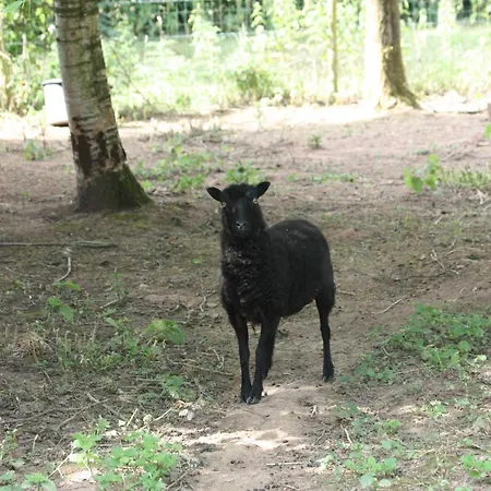 Holiday home Le Monalya