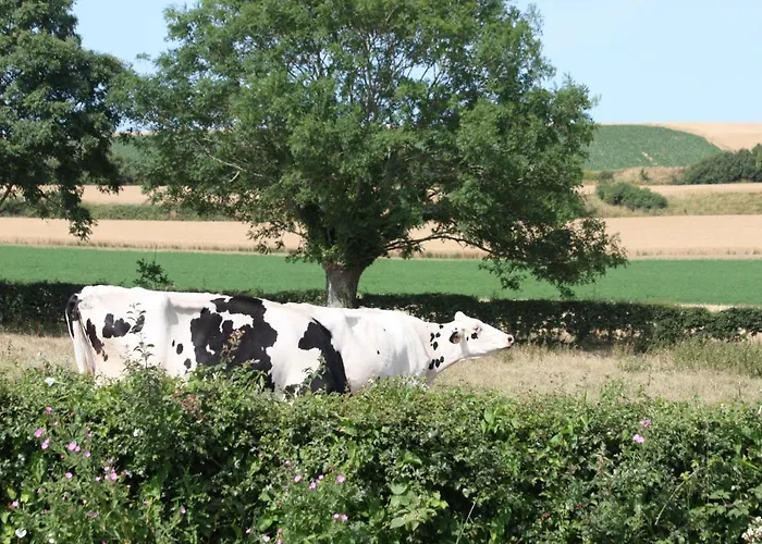 Le Monalya بيت للعطل Leubringhen