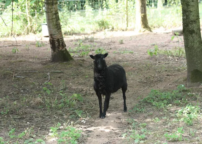 بيت للعطل Le Monalya